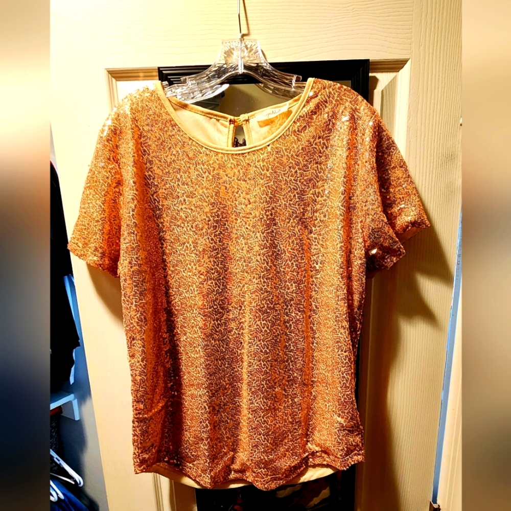 Sequin short sleeve top